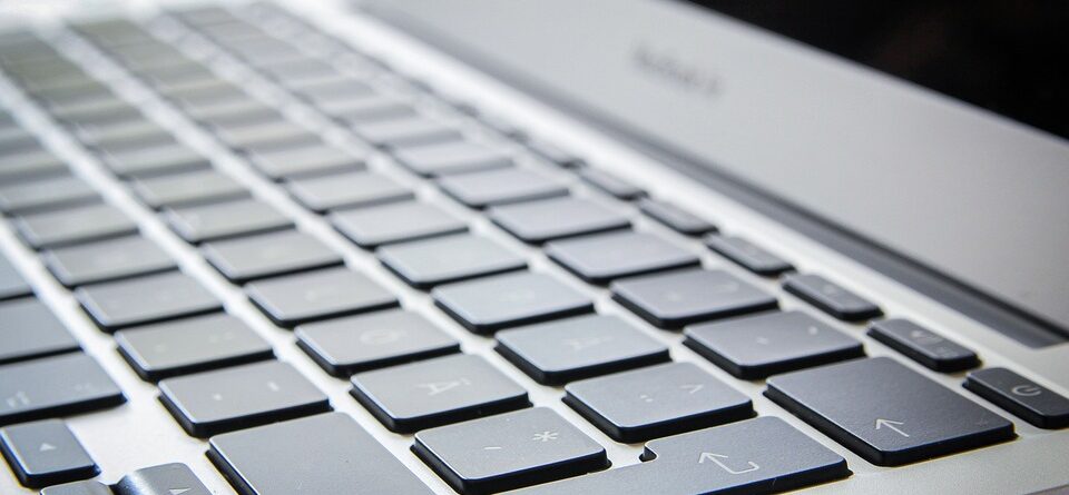 gov backlinks